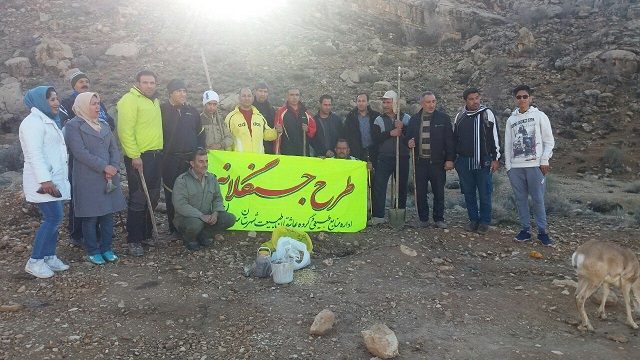 9-طرح ملی جنگلانه در شهر سروستان برگزار شد